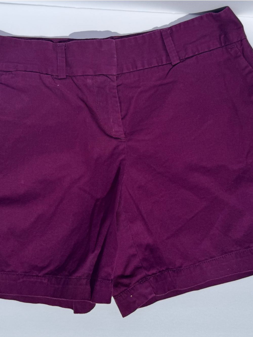 LOFT Plum Purple Women's Shorts